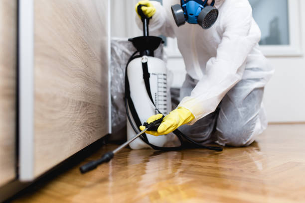 Best Pest Inspection Near Me  in Duncanville, TX