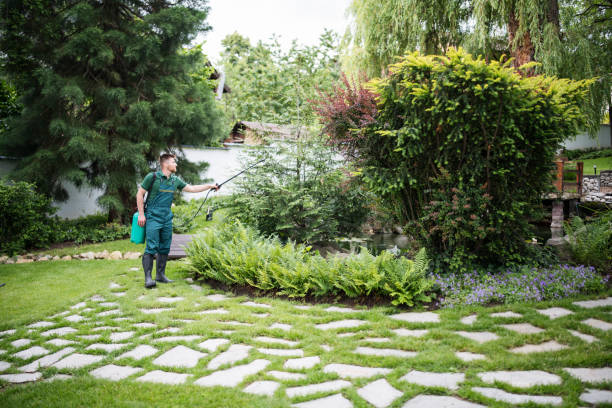 Best Commercial Pest Control Services  in Duncanville, TX