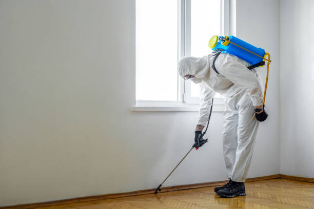 Best Pest Prevention Services  in Duncanville, TX