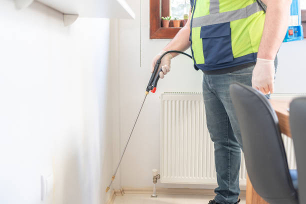Best Wasp Removal Services  in Duncanville, TX