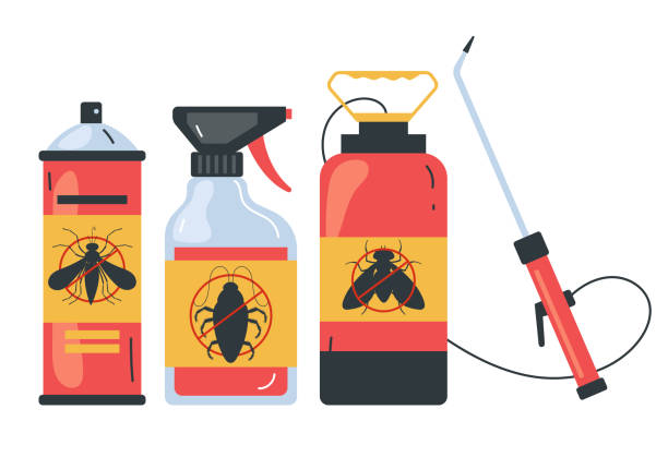 Best Local Pest Control Services  in Duncanville, TX